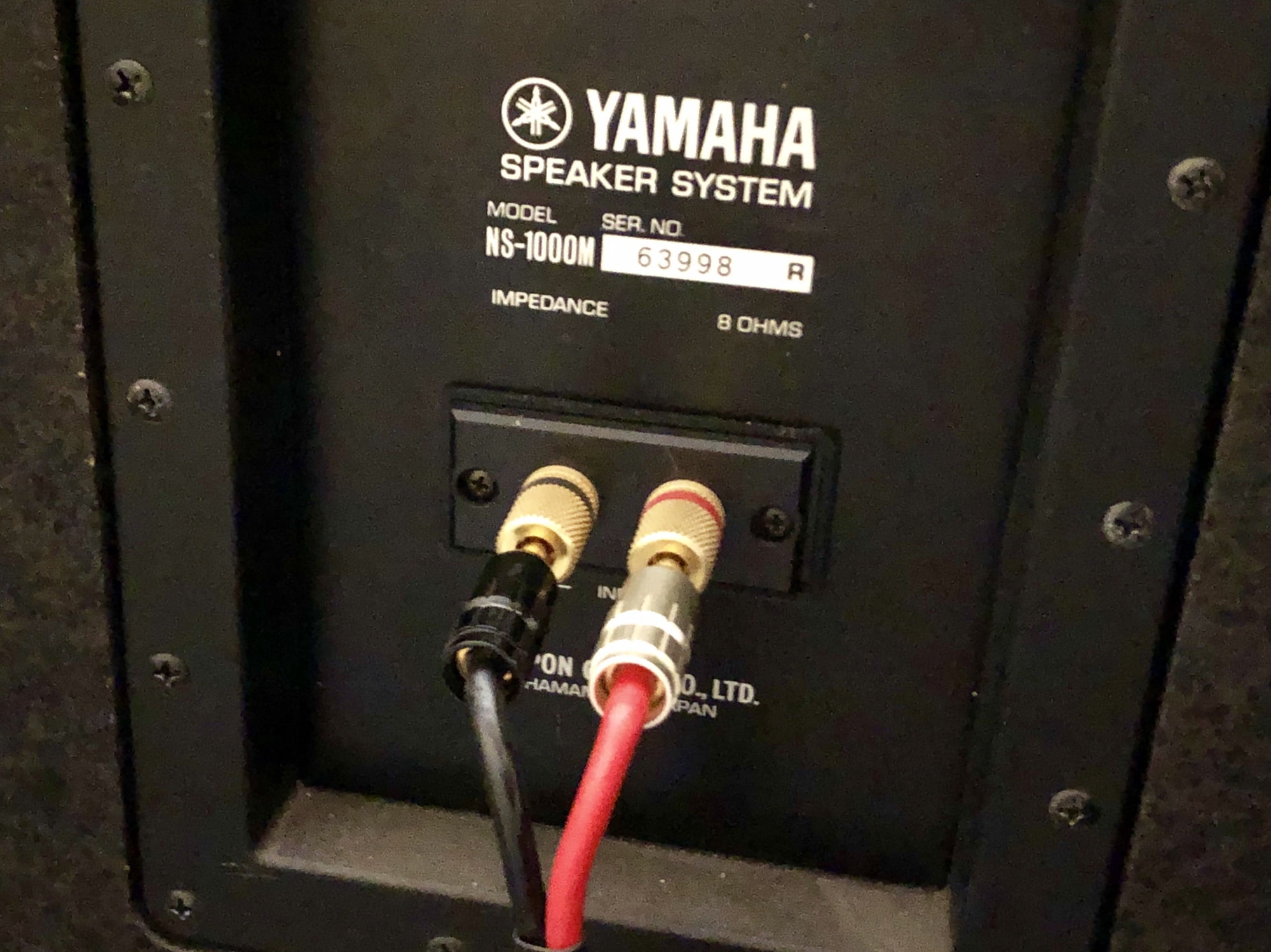 NS-1000M speaker terminals