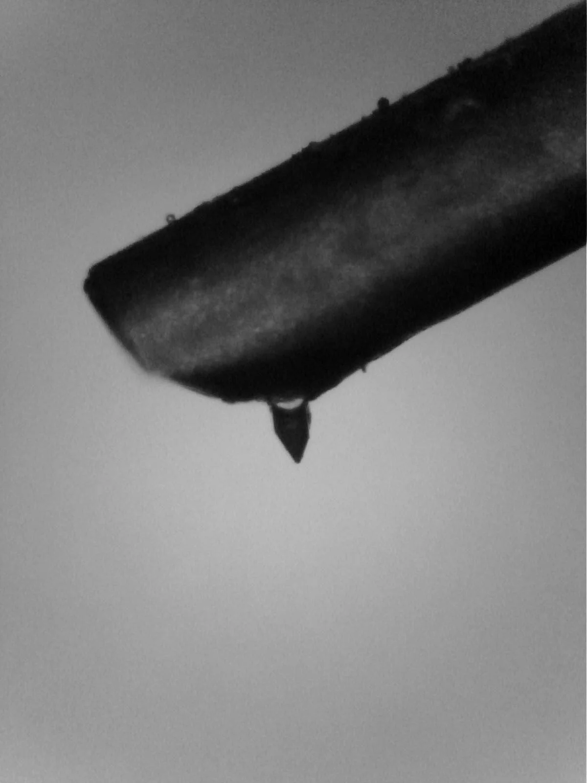 High-End Cartridge Inspection & Deep Cleaning 23 Denon DL-305