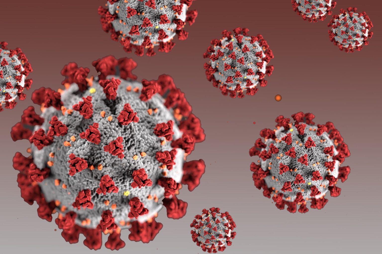 Coronavirus illustration